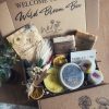 Fruity-floral Shower & Skincare Set