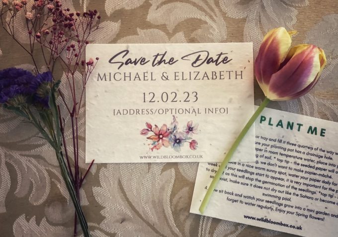Plantable Save the Date Seed Cards / Invitations