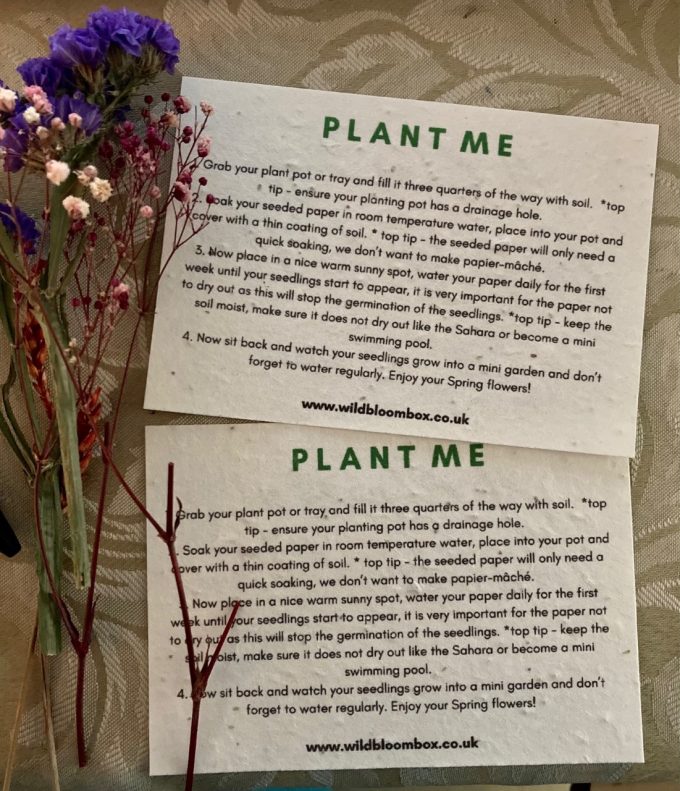 Plantable Save the Date Seed Cards / Invitations