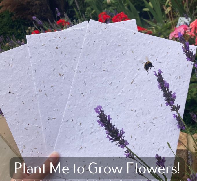 A4 Plantable Seed Paper – Printer Friendly
