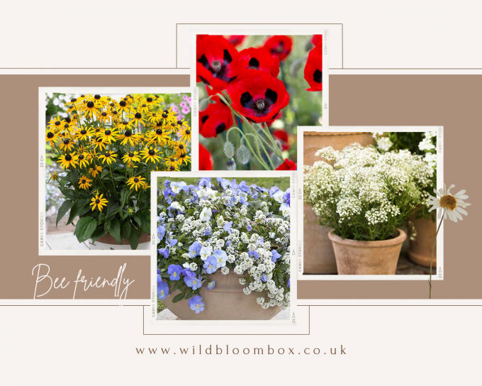 A4 Plantable Seed Paper – Printer Friendly
