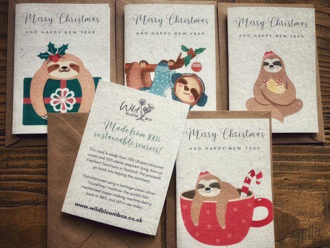Eco-Friendly Sloth Christmas Cards