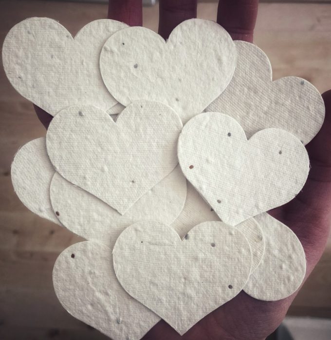 Wildflower Seed Hearts - White