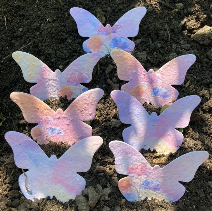 Wildflower Seed Butterflies – Rainbow