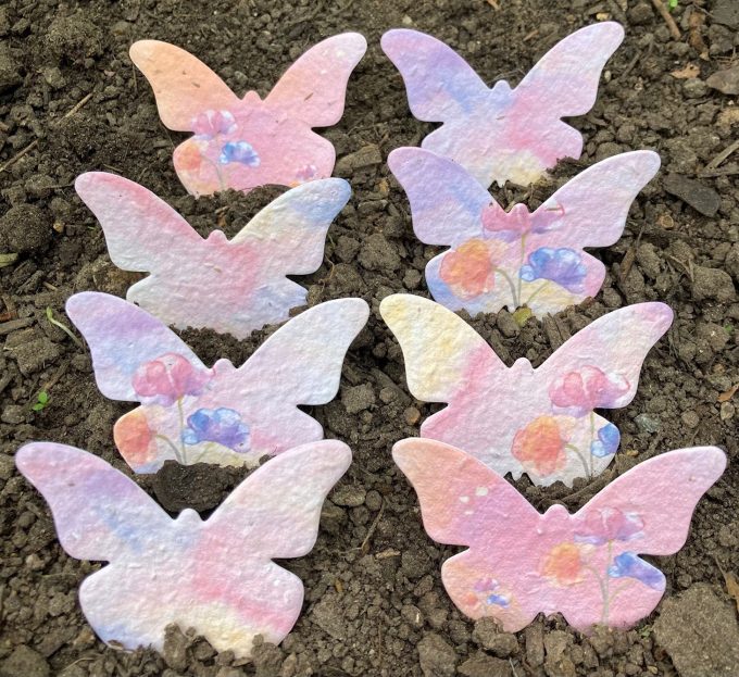 Bulk Wholesale Seed Shapes (from 16p!)