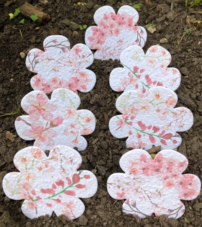 Bulk Wholesale Seed Shapes (from 16p!)