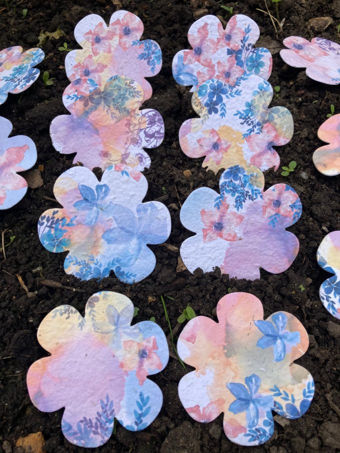 Bulk Wholesale Seed Shapes (from 16p!)