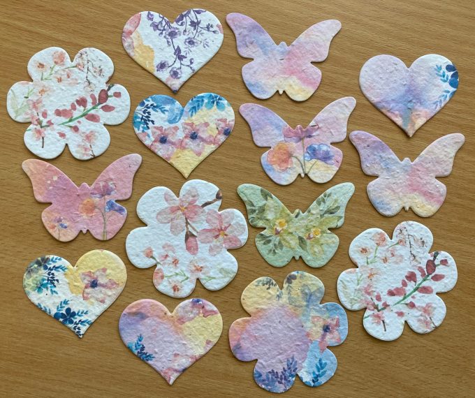 Bulk Wholesale Seed Shapes (from 16p!)