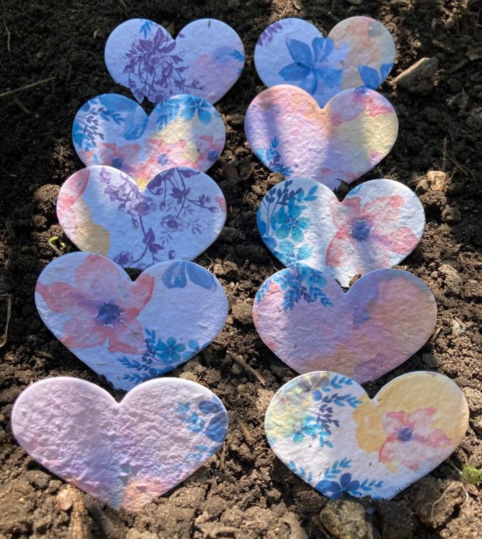 Bulk Wholesale Seed Shapes (from 16p!)